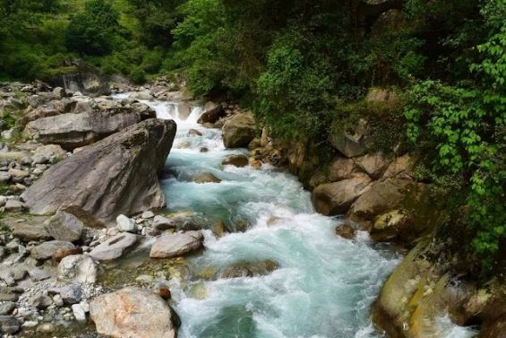 Great Himalayan National Park-5